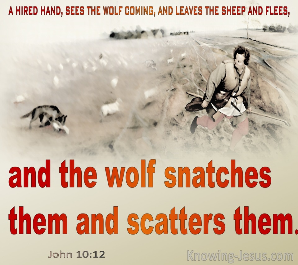 John 10:12 The Wolf Snatches And Scatters Them (red)